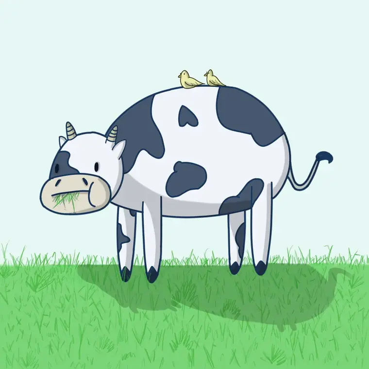 Cow — colour